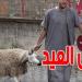 عيد الاضحى 2025: وزير الفلاحة يطمئن التونسيين