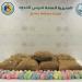 حرس الحدود بعسير يحبط تهريب 180 كيلوجرامًا من "القات"