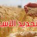 ضبط أسعار قبول الحبوب لصابة 2025