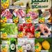 عروض السدحان اليوم 19 مايو 2025 الموافق 21 ذو القعدة 1446 عرض الاثنين الكبير
