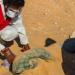 مفزع/ من بينهم أطفال: وفاة 11 سودانيا بسبب العطش في صحراء ليبيا..وهذه التفاصيل..