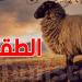 تحذير من ارتفاع مفاجئ في درجات الحرارة خلال عطلة العيد