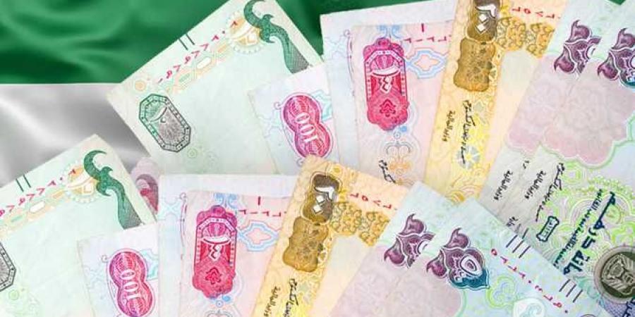 سعر الدرهم الإماراتي اليوم الثلاثاء 10-12-2024