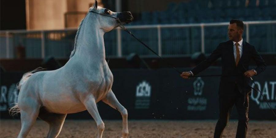 برعاية خادم الحرمين الشريفين… انطلاق العرض الدولي السابع لجمال الخيل العربية بالرياض