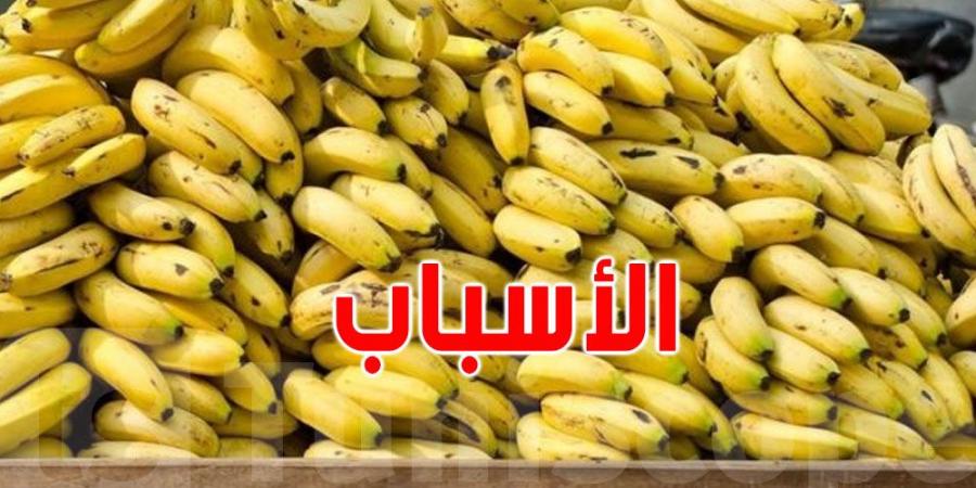 ''البنان ''في تونس: حرب الأسعار بين المصري و الأكوادوري