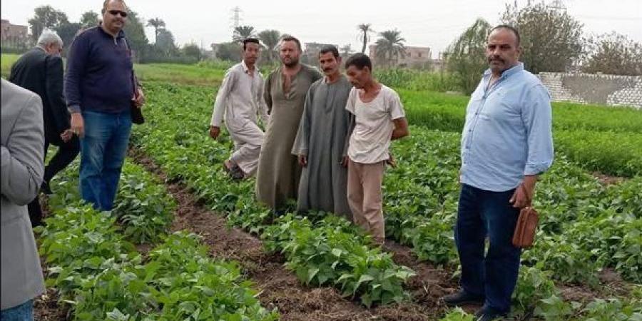 البحوث الزراعية يستعرض حصاد أنشطة مبادرة المراكز الإرشادية خلال نوفمبر الماضي