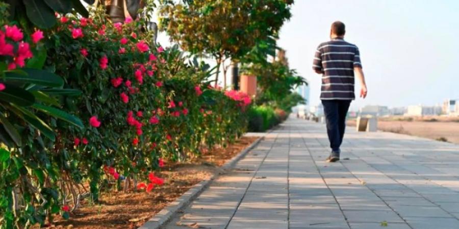 رياضة المشي.. ثقافة اجتماعية تعزز صحة الأسرة والمجتمع في جازان