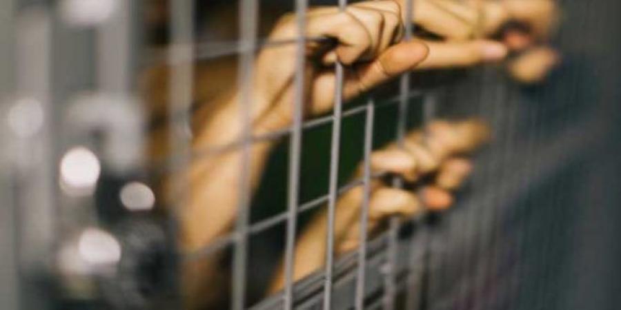 عاجل/ الإفراج عن 714 سجينا
