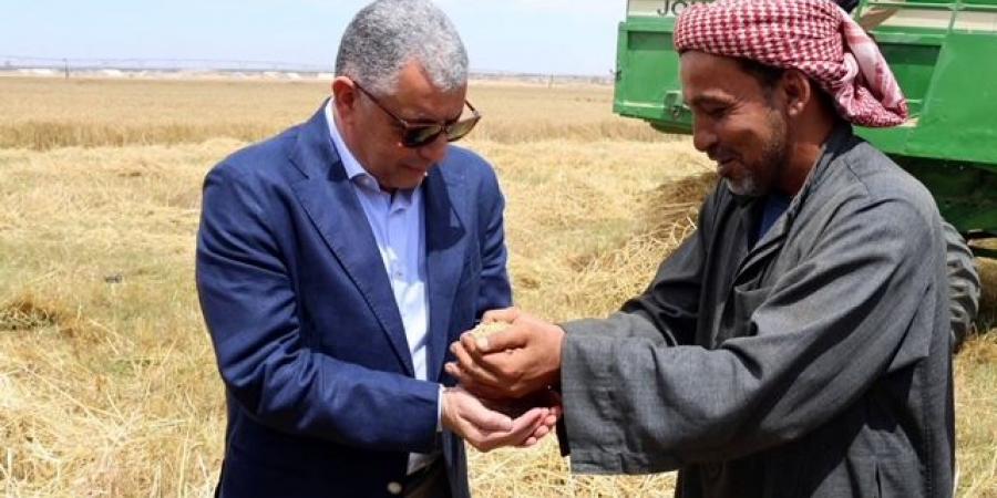 محافظ الإسماعيلية يشدد على متابعة توريد "الذهب الأصفر"