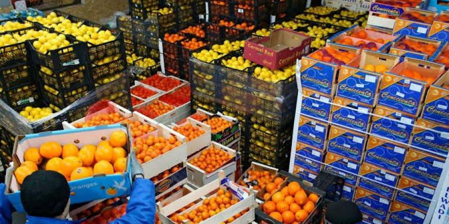 التصديري للصناعات الغذائية ينظم بعثة تجارية إلى جنوب إفريقيا في 4 مايو