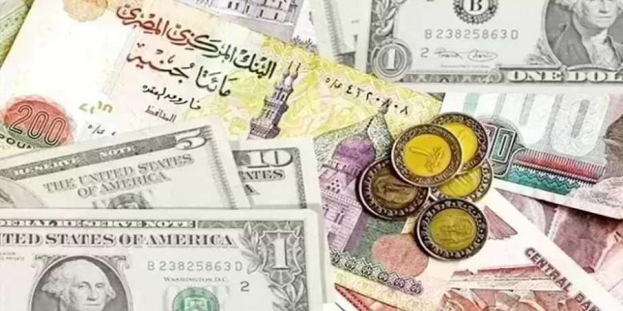 الدولار يسجل 50.73 جنيه للشراء.. أسعار العملات الأجنبية اليوم الأربعاء