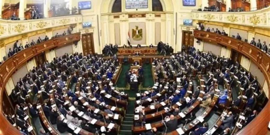 «مذيعة المخدرات» تفتح ملف فوضى منتحلي الصفة في الإعلام.. والنواب يطالبون الحكومة بالحسم