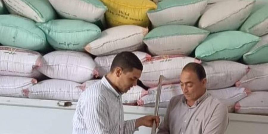 توريد ٢١٩٥٤ طن قمح بالبحيرة