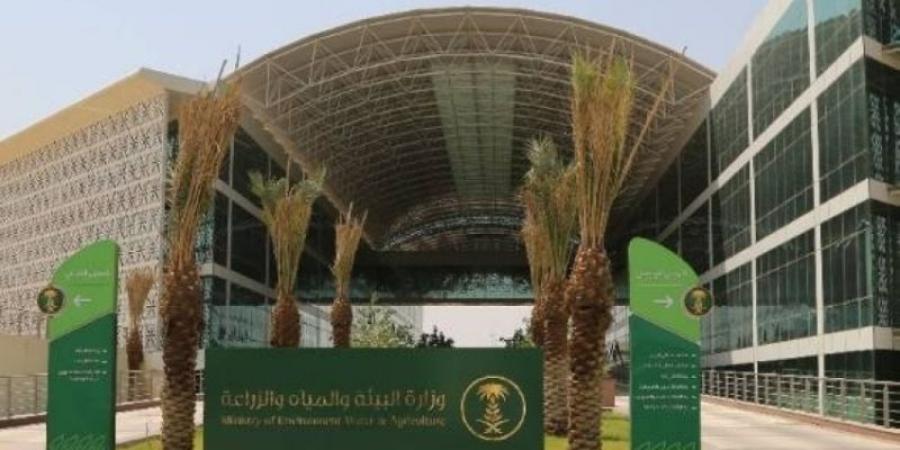 البيئة ترصد هطول أمطار في (8) مناطق وعسير الأعلى كميةً بـ(15.0) ملم في ظهران الجنوب