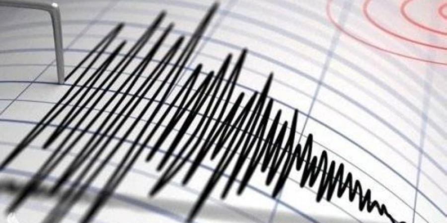 زلزال بقوة 4.8 درجات يضرب الأرجنتين