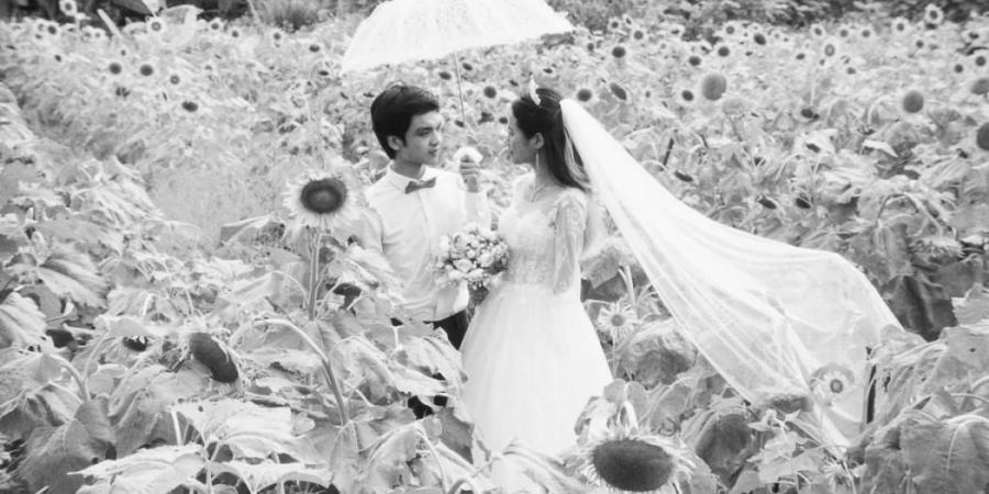 «الشارقة للفنون» و«نيويورك أبوظبي» يعرضان أعمالاً من «منصة الأفلام»