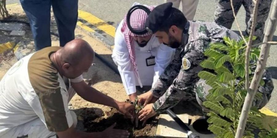 بيئة جدة تنفذ مبادرة لتشجير سجن حدّا