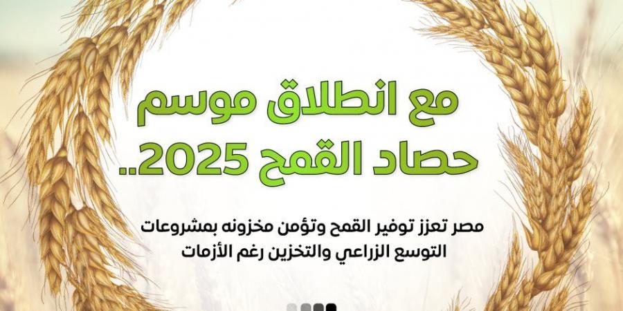 إعلام الوزراء: 3.1 مليون فدان قمح وأصناف جديدة عالية الإنتاجية ودعم غير مسبوق للمزارعين في موسم توريد 2025