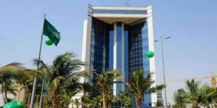 وزارة الصناعة تمدّد فترة المنافسة على 3 رخص لكشف المعادن حتى يونيو المقبل