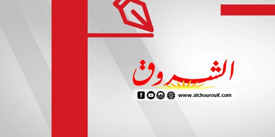 تأملات في الديبلوماسية: هل الديبلوماسية علم أم فنّ ؟