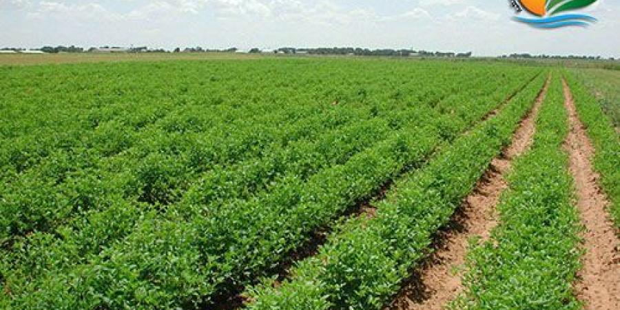 مساهم يخفض حصته في رأسمال “نهر الخير” إلى 13.5%