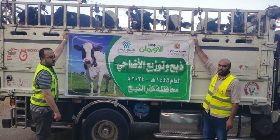 50 ألف كيلو لحوم أضاحى و75 عجلا بلديا للاولى بالرعاية بكفر الشيخ