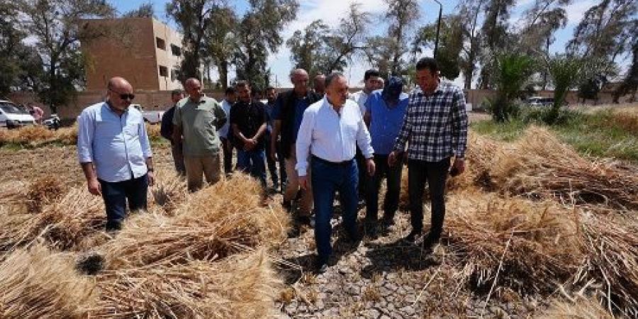 محافظ أسيوط: توريد أكثر من 46 ألف طن قمح حتى الآن