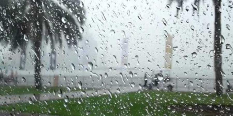 سيناريو ماي وجوان 2023 سيتكرر..وأمطار غزيرة مرتقبة..#خبر_عاجل