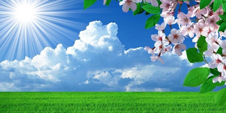 طقس مغيم جزئيا فتدريجيا كثيف السحب بعد الظهر الاربعاء