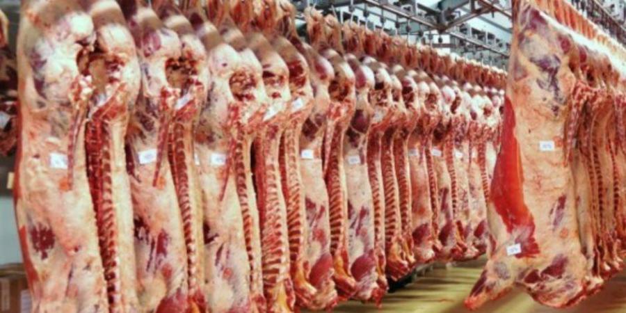 وزير التموين: شوادر عيد الأضحى لتوفير الخراف الحية واللحوم بدءا من 20 مايو