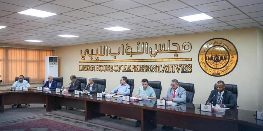 حماد يبحث مع لجنة المالية النيابية مشروع ميزانية 2025 ويؤكد: الشفافية وعدالة التوزيع أولوية