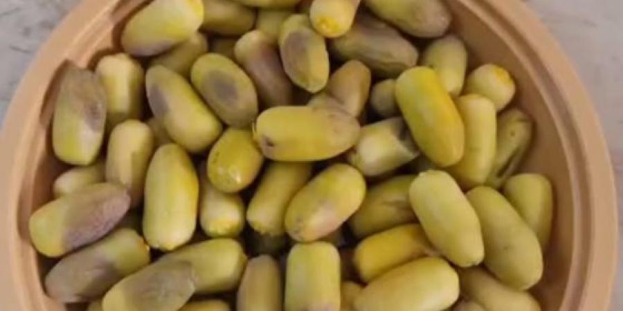 حباته الأولى «بشارة» لا تقدر بثمن.. الرطب ضيف تترقبه العيون
