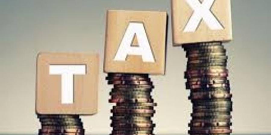 باتريك فيتزباتريك: التسهيلات الضريبية سياسات مستقرة وفرص متكافئة
