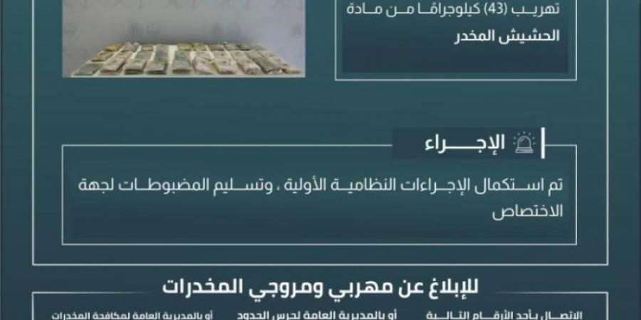 حرس الحدود بجازان يحبط تهريب 43 كيلوجرامًا من مادة الحشيش المخدر