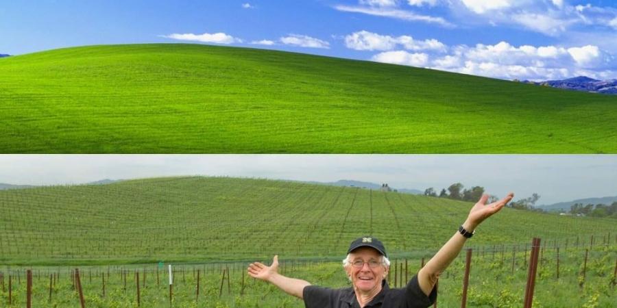 مصير محزن لصورة خلفية Windows