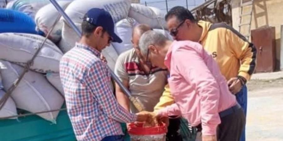 صوامع وشون الشرقية تستقبل 342 ألف طن قمح من المزارعين