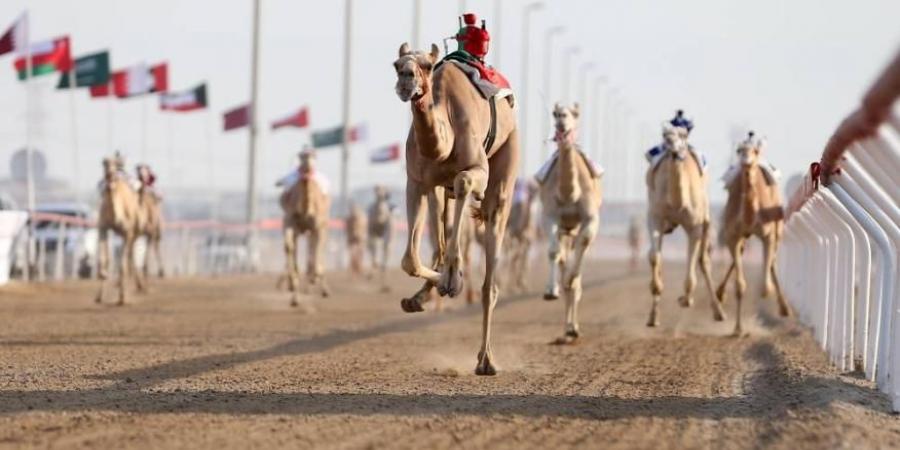 «الشاهينية» تحلق بكأس الأبكار في «ختامي الوثبة»