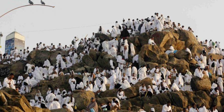 الصحة: فحص وتسلم شحنة أدوية وتجهيز 29 عيادة بمكة والمدينة لاستقبال الحجاج