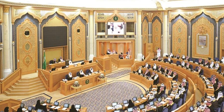 توطين وتنظيم صناعة الإعلان والحد من تسرب العوائد