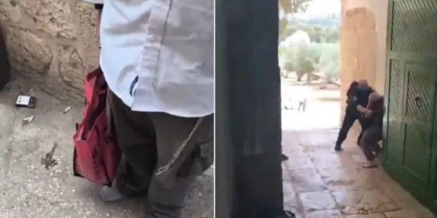 لأول مرة.. مستوطنون يُدخلون قربانا حيوانيا لباحات المسجد الأقصى