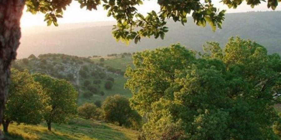 انخفاض على الحرارة وأجواء معتدلة تتخللها موجات غبار في مناطق البادية