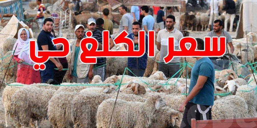 نحو تحديد سعر الكلغ الحي من أضاحي العيد
