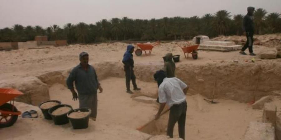 الكشف عن معصرة زيتون تعود للفترة الرومانية المتاخرة بمنطقة بشني من معتمدية الفوار