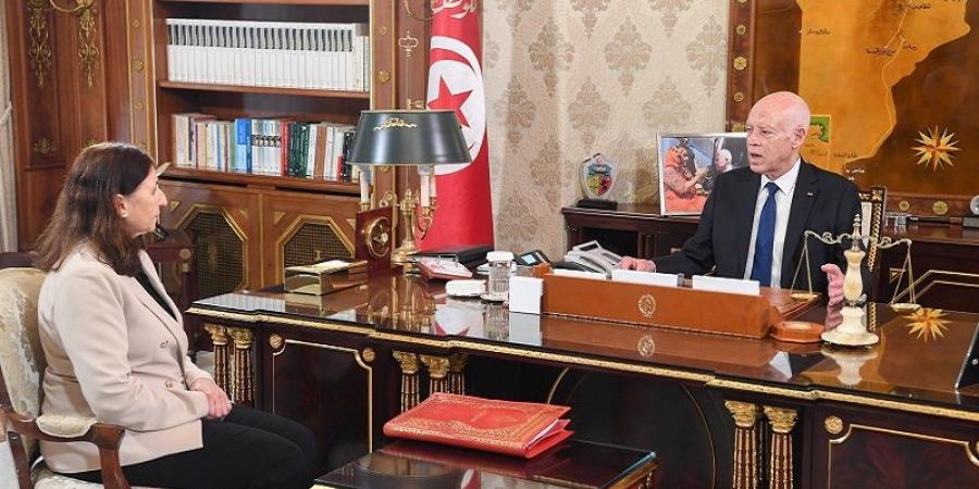 رئيس الجمهورية: تحقيق العدالة الاجتماعية أولوية مطلقة (فيديو)