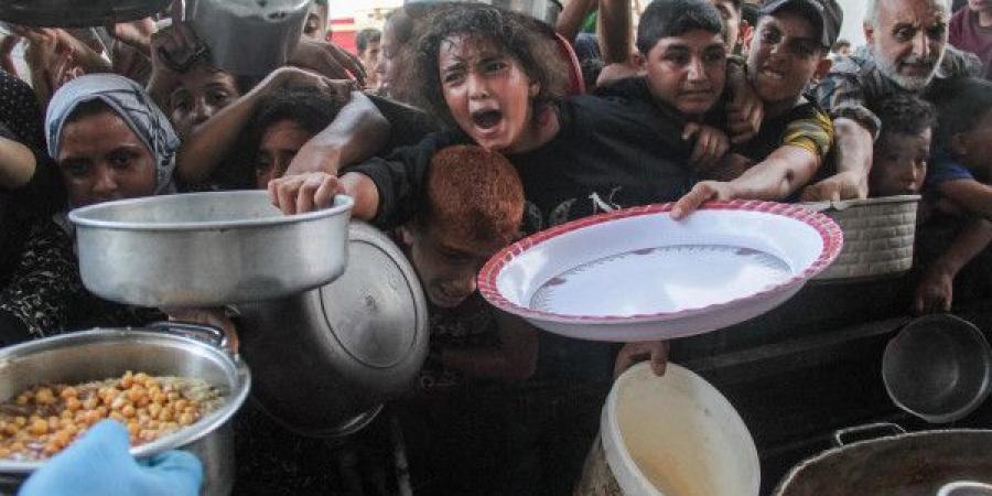الأمم المتحدة: عدد الوجبات اليومية المقدمة للمواطنين في قطاع غزة انخفض 70%