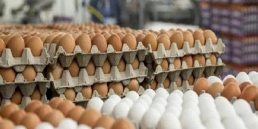 الخط الساخن| بين الطازج والمبرد.. كيف يُغش المستهلك في قطاع الدجاج والبيض؟