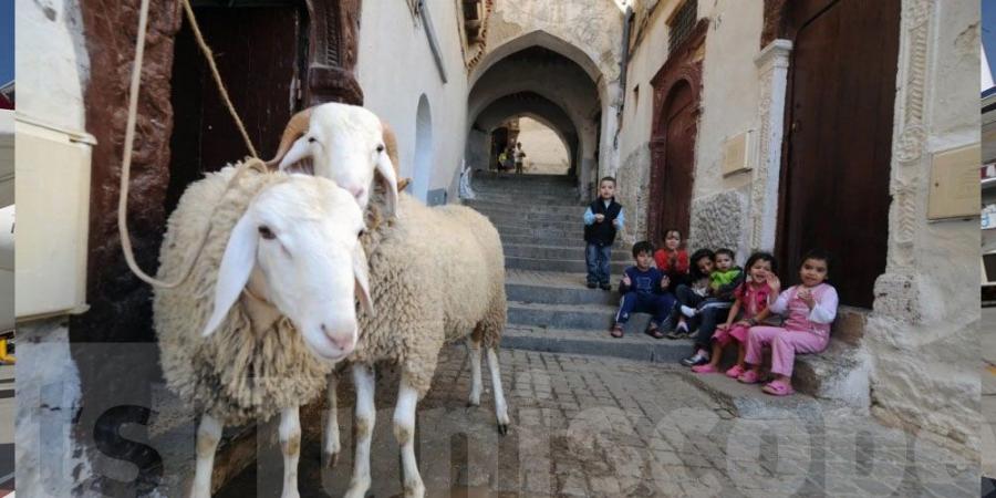 عاجل : عطلة رسمية في انتظار التونسيين بداية جوان القادم