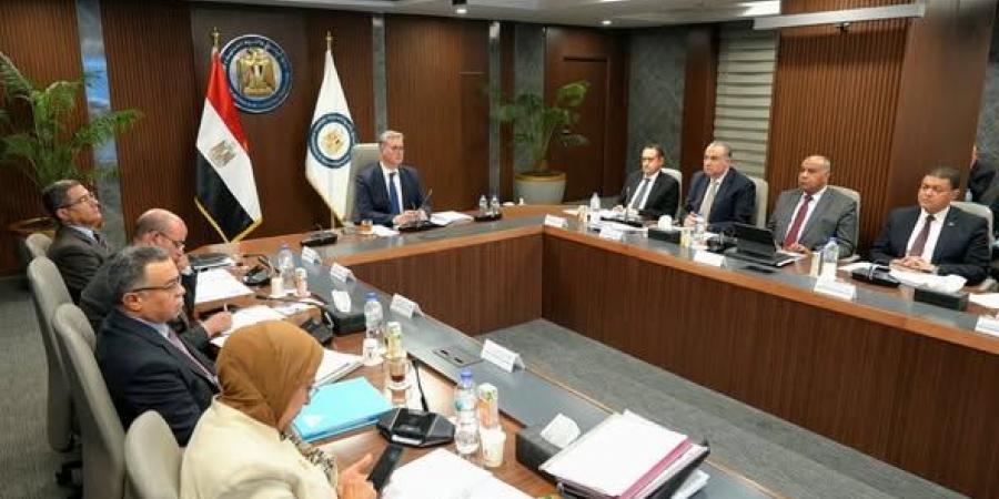 بدوي: إنشاء ذراع فني يعزز قدرة"ثروة للبترول"على التوسع داخليًا وخارجيا