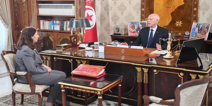 رئيس الجمهورية: الثورة التشريعية لا يمكن أن تتحقق الا بثورة في إدارة المرافق العمومية