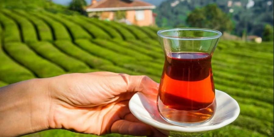 اليوم العالمي للشاي.. اكتشاف بالمصادفة وراءه قصة